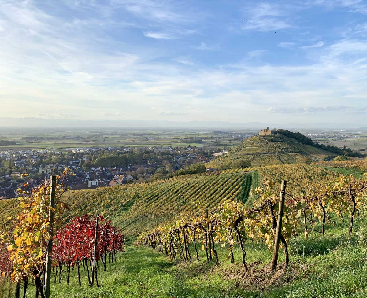 Staufen im Breisgau