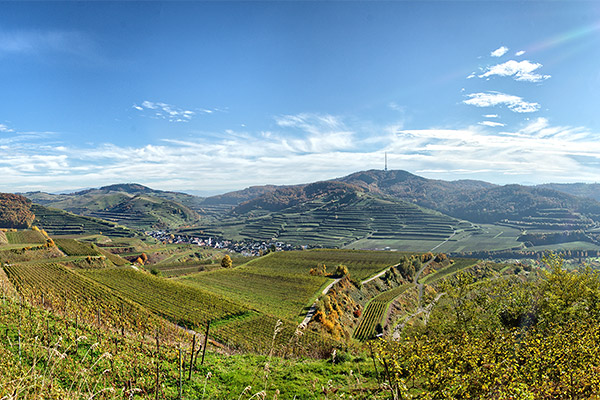 Vogtsburg im Kaiserstuhl